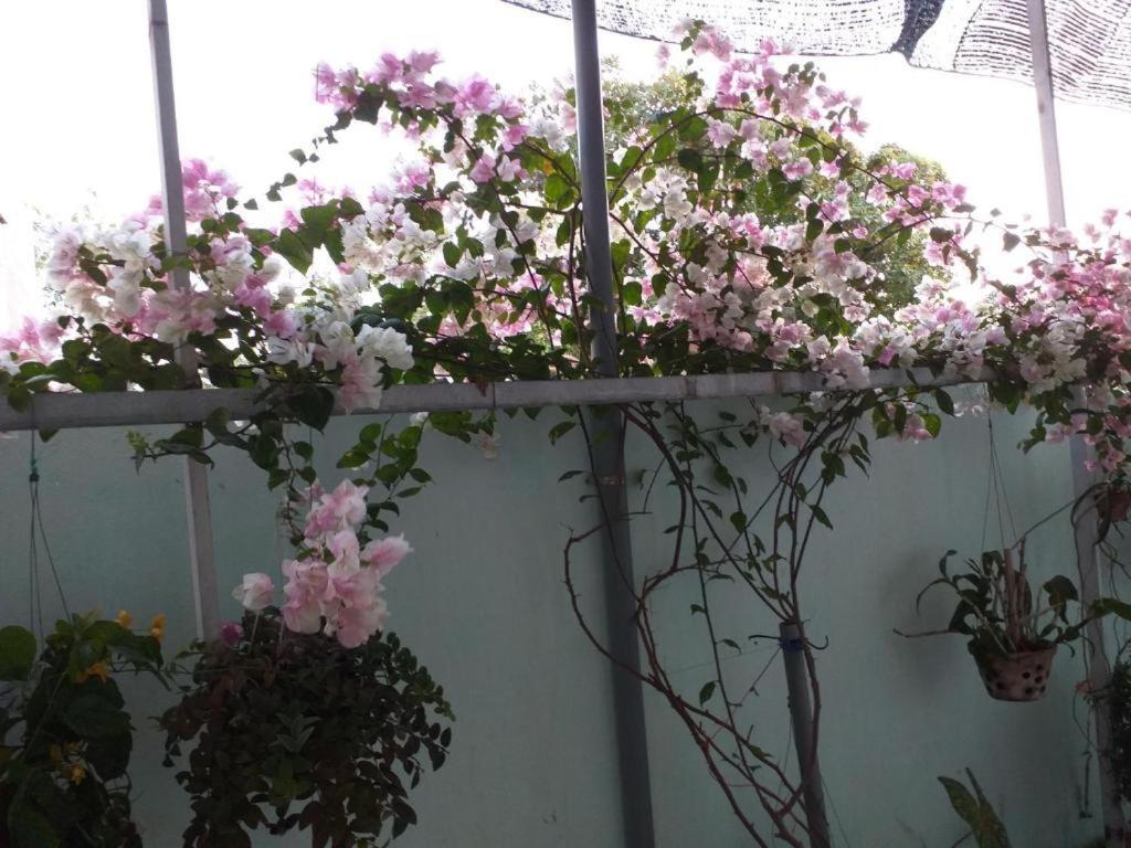 Nha Nghi Nguyen Anh 호텔 롱하이 외부 사진